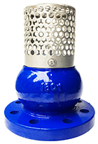 Van hút một chiều gang - rọ hút - rọ bơm AUT-DN300